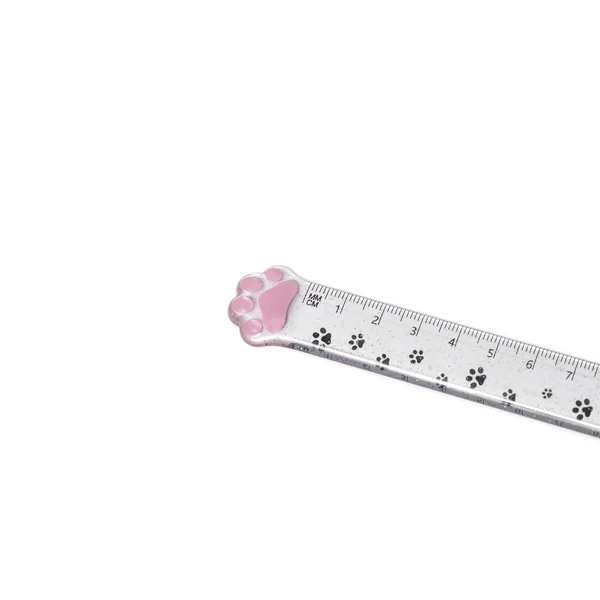 Règle patte de chat à paillettes parme - Legami