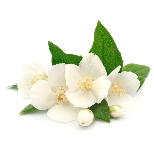 Senteur / fragrance pour bougie fleurs des îles - 27 ml