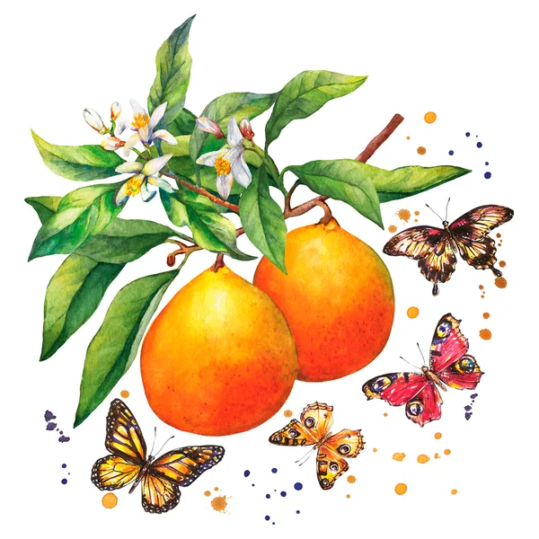 Serviette « Papillons & oranges »
