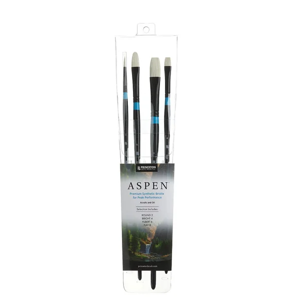 Set de 4 brosses ASPEN 6500