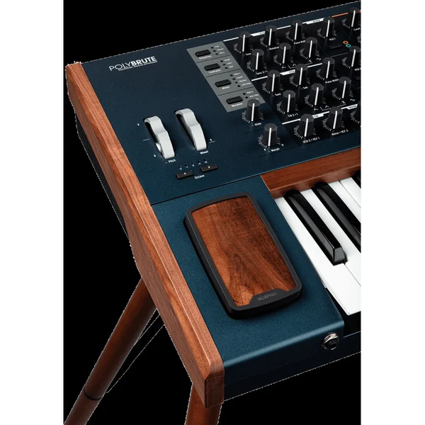 SYNTHETISEUR ARTURIA POLYBRUTE - polyphonique PolyBrute