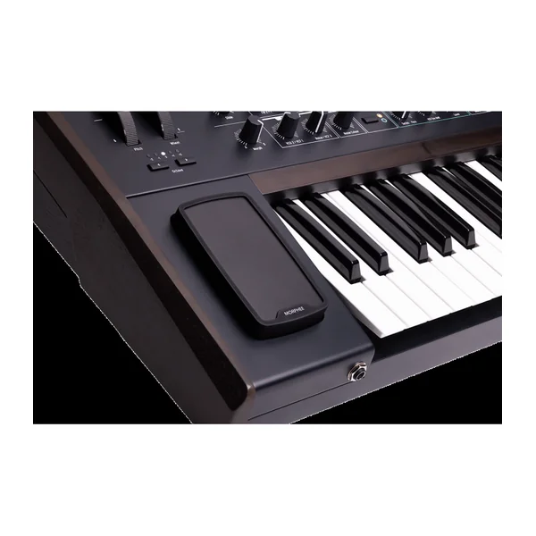 SYNTHETISEUR ARTURIA POLYBRUTE-BK - PolyBrute série limitée noire