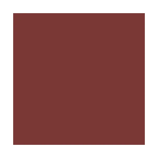 Théodore Pro'G Peinture Bois & Fer Rouge Basque