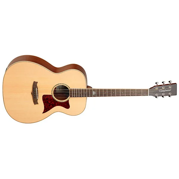 TW170 SS Premier - natural satin