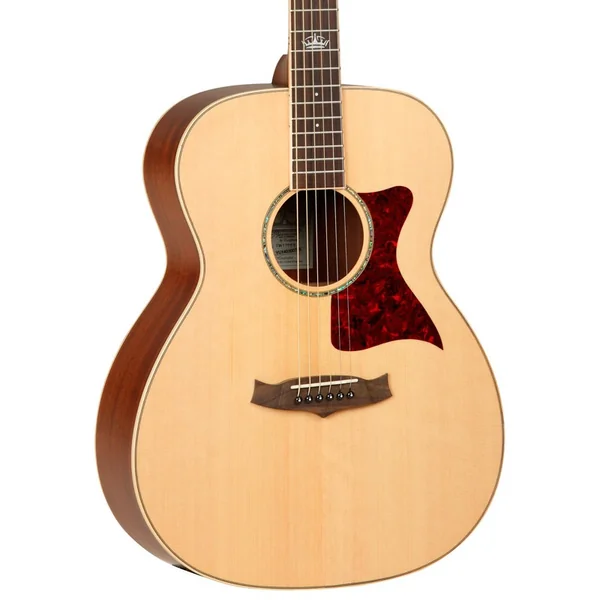TW170 SS Premier - natural satin