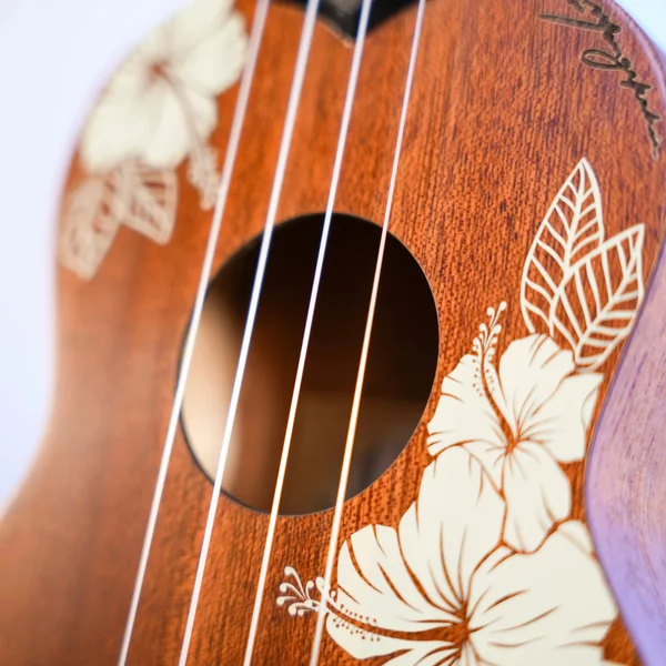 Ukulélé Kala Hibiscus Soprano