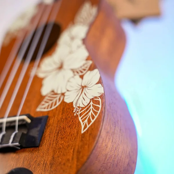 Ukulélé Kala Hibiscus Soprano