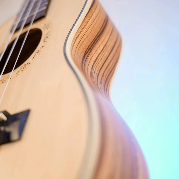 Ukulélé Prodipe BC25