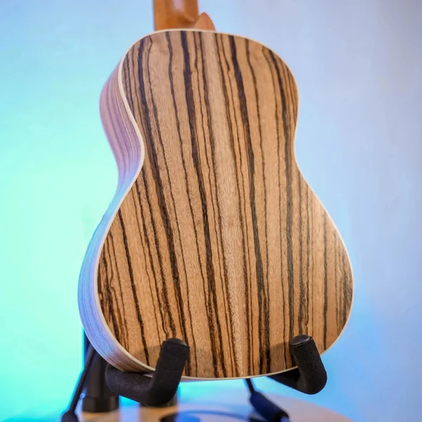 Ukulélé Prodipe BC25