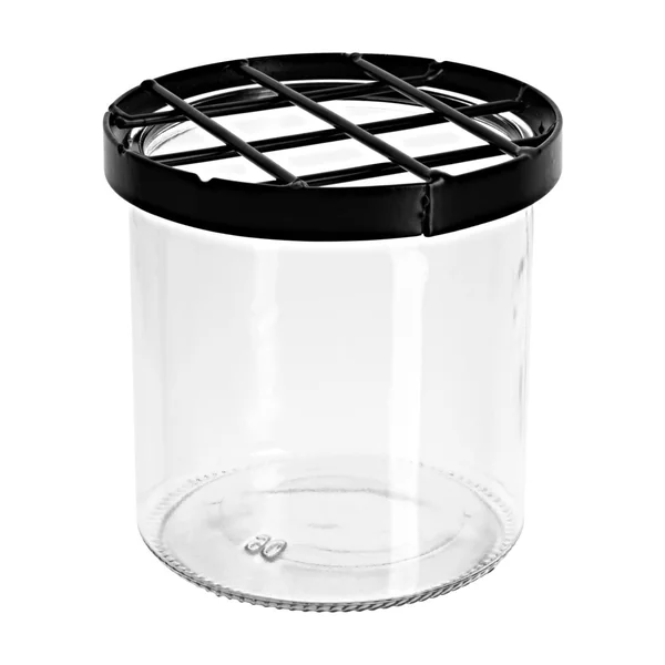 Vase en verre à grille pique-fleurs