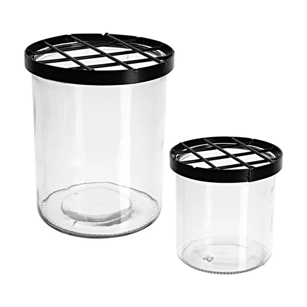 Vase en verre à grille pique-fleurs