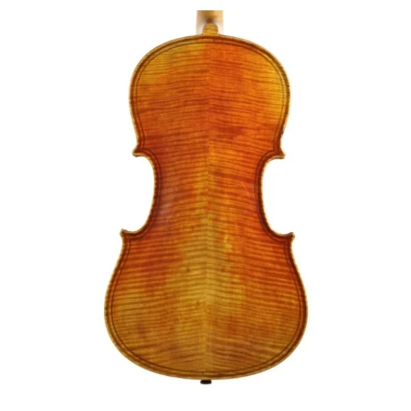 VIOLA JAY HAIDE MAGGINI BARROCA
