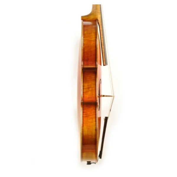 VIOLA JAY HAIDE MAGGINI BARROCA