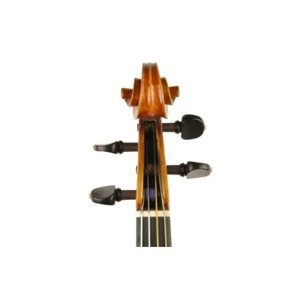 VIOLA JAY HAIDE MAGGINI BARROCA