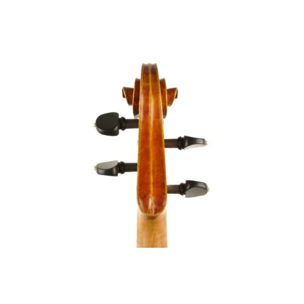 VIOLA JAY HAIDE MAGGINI BARROCA