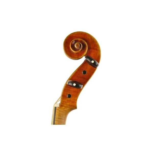 VIOLA JAY HAIDE MAGGINI BARROCA