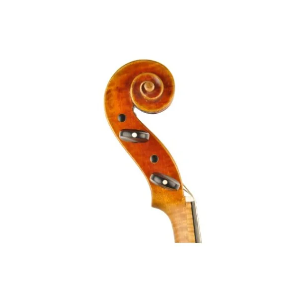VIOLA JAY HAIDE MAGGINI BARROCA