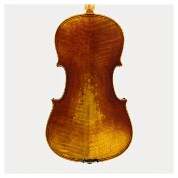 VIOLA JAY HAIDE MAGGINI