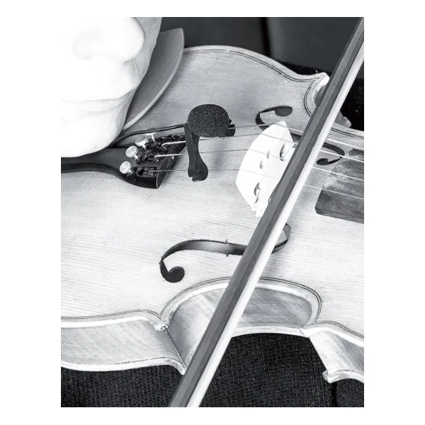 VL21 Violin