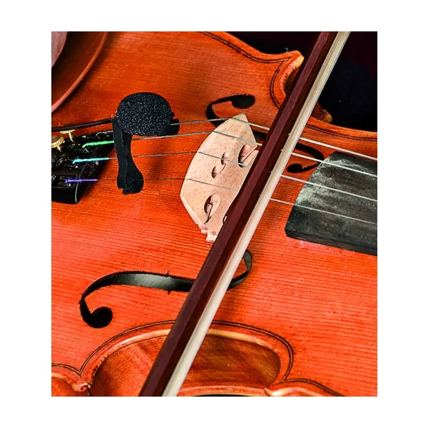 VL21 Violin