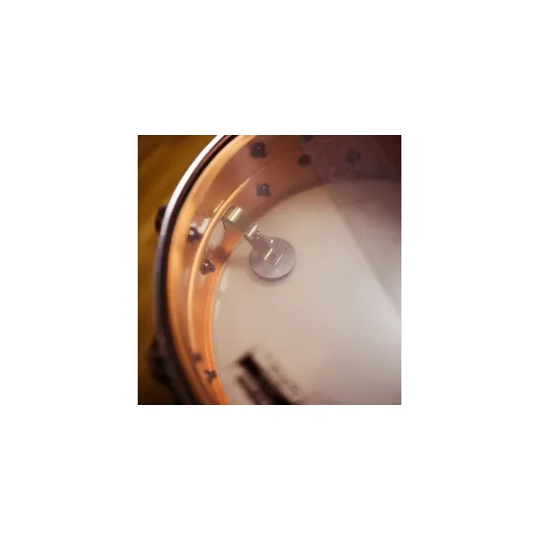 YAMAHA Centennial Signature Caisse Claire 14"x 5.5" Roy Haynes